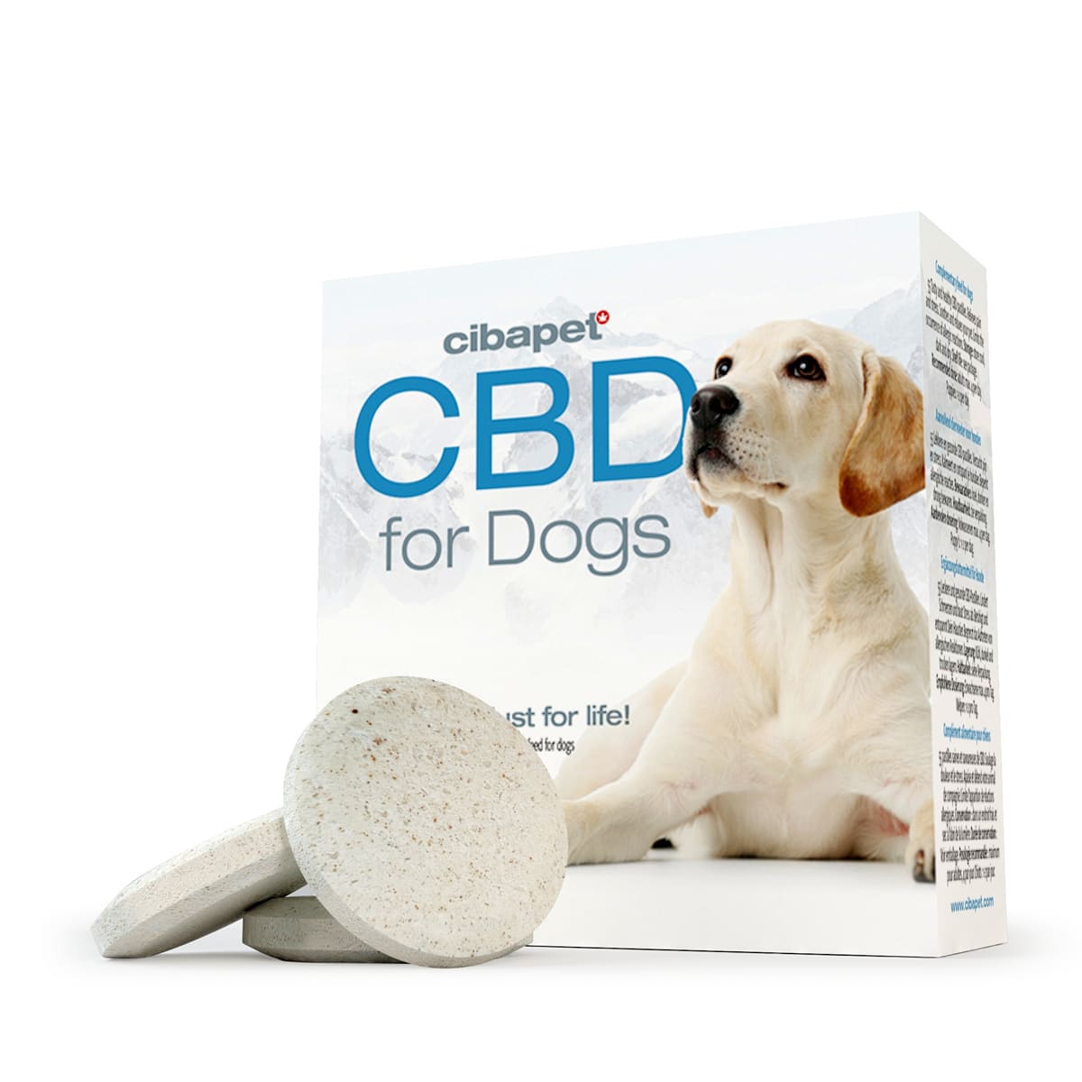 CBD pastilles voor honden