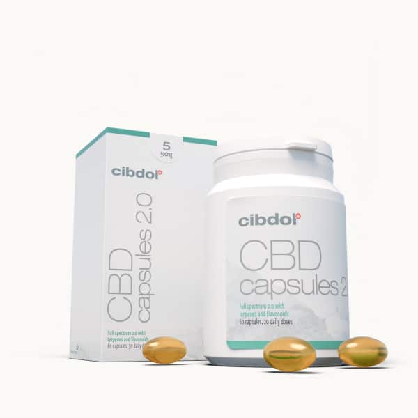 Een witte fles en doos met Cibdol 5% CBD-capsules, gelabeld met 8,3 mg per capsule. Drie gouden capsules zijn vooraan de verpakking geplaatst.