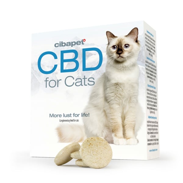 CBD pastilles voor katten